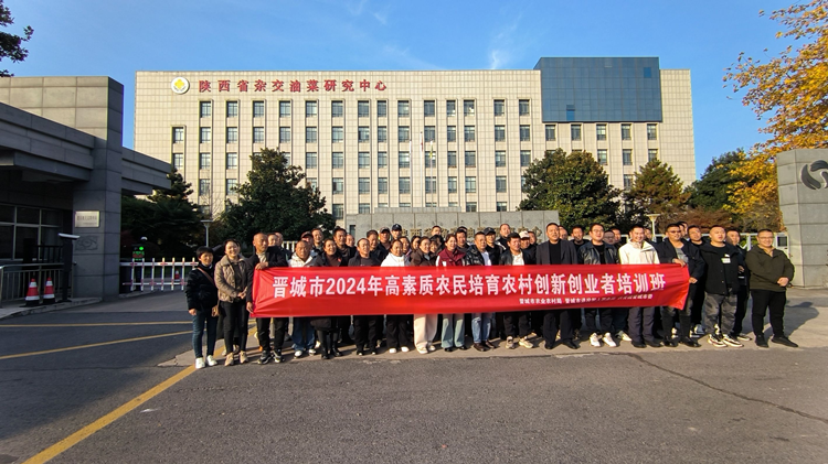 1732591589895237.png 图片4_副本.png