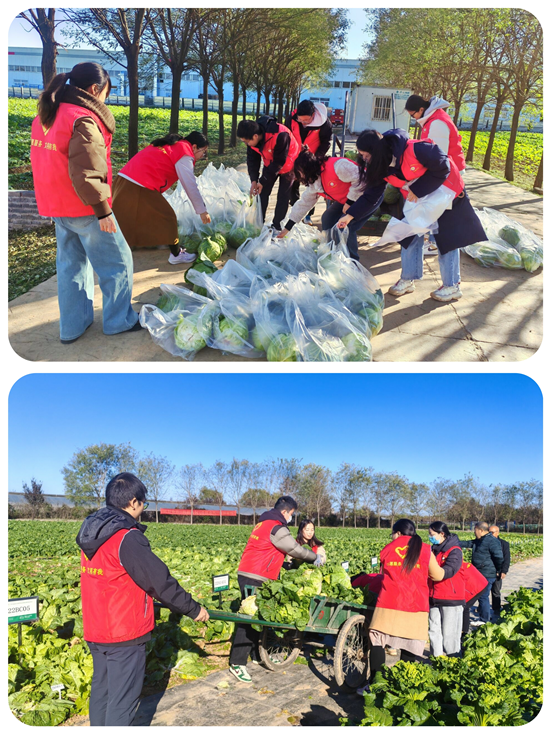 1732782669575237.png 图片2_副本.png