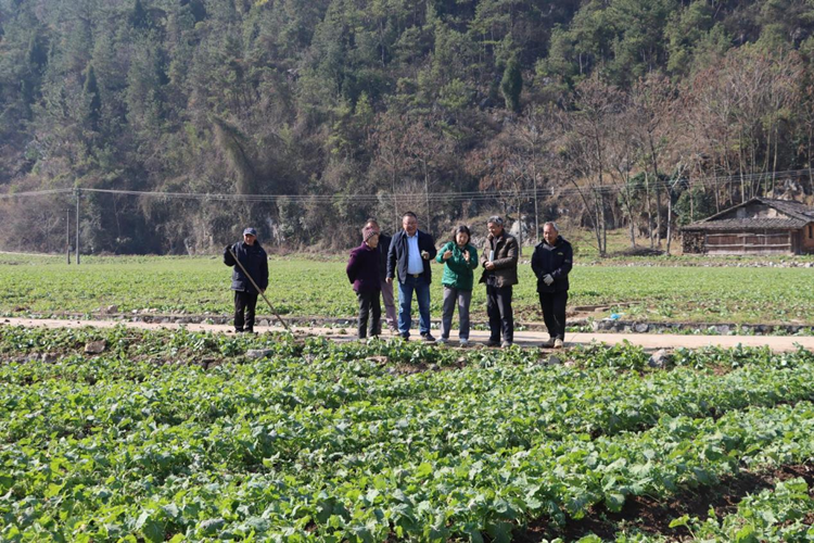 1734678640261666.png 图片1_副本.png