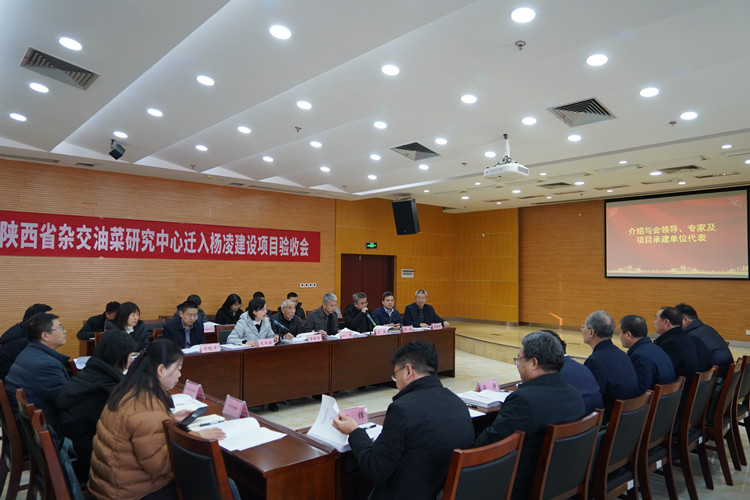 1734935479664004.jpg 2_副本.jpg