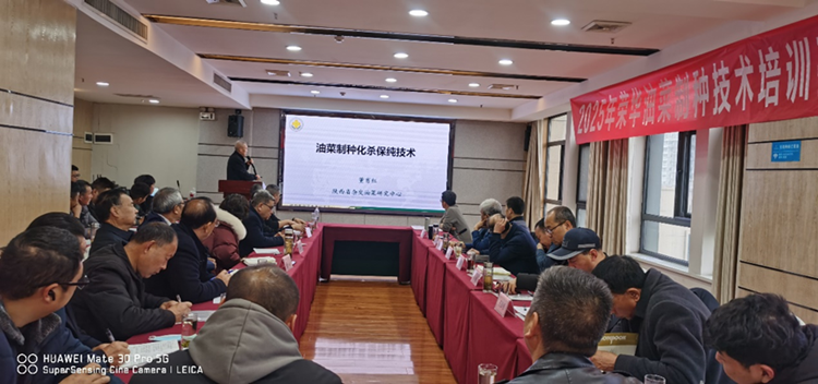 1737015054572051.png 图片2_副本.png