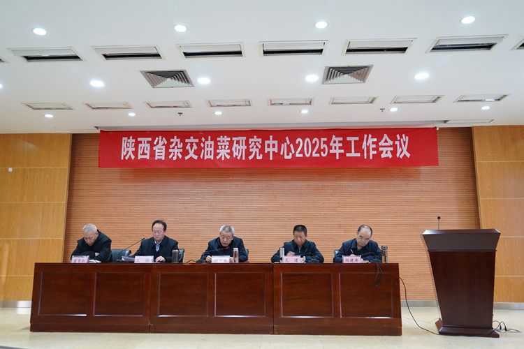 1739500405647298.jpg 1_副本.jpg