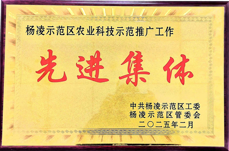 1739926606932701.png 图片1_副本.png