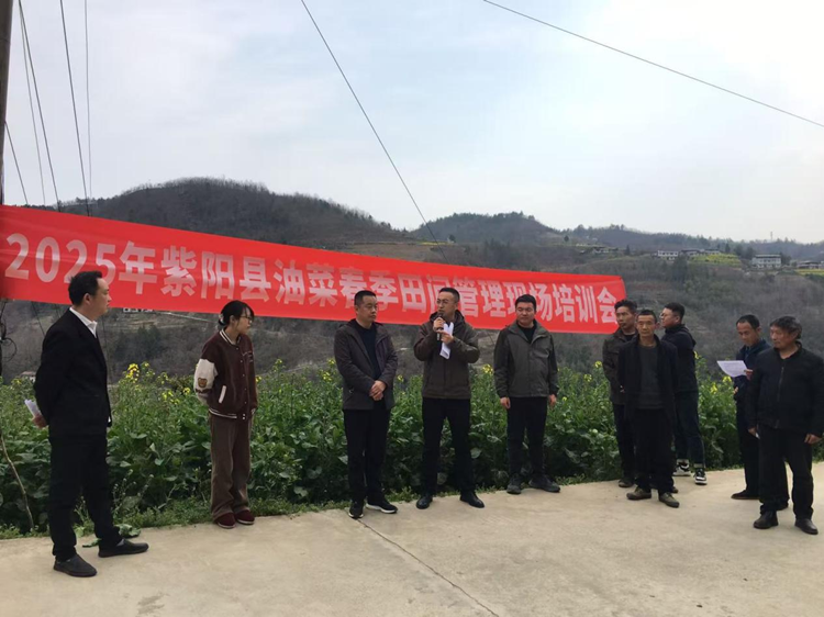 1742172037341156.png 1_副本.png