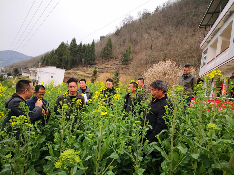 1742172049131246.png 2_副本.png