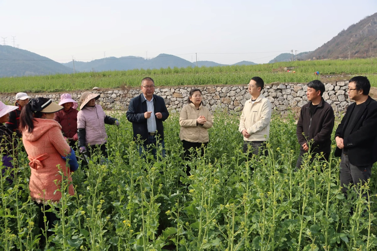 1742539131635583.png 图片1_副本.png