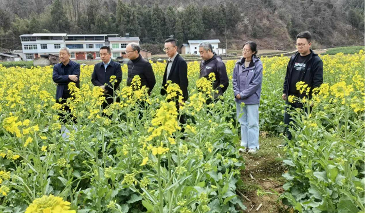 1742776574249168.png 图片1_副本.png