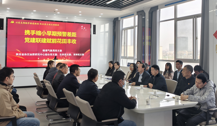 1742883987339420.png 图片1_副本.png