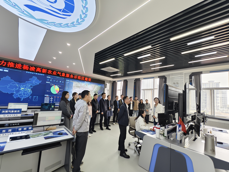 1742884048426699.png 图片4_副本.png