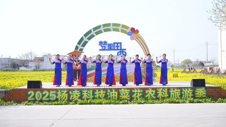 1744104305137867.png 图片1_副本.png