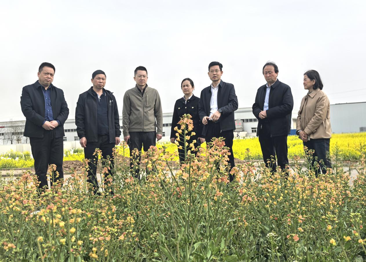 1744179567886437.png 图片1_副本.png