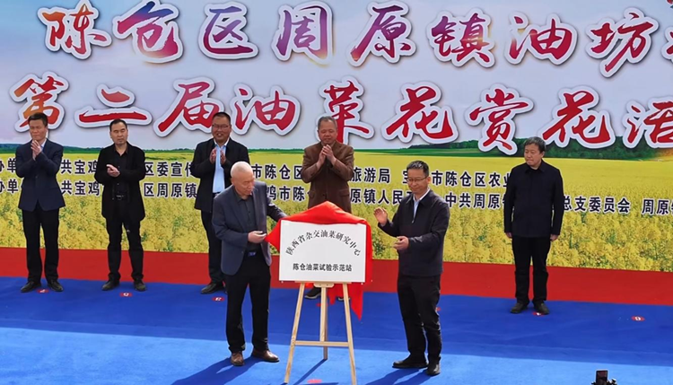 1744267354694484.png 图片1_副本.png