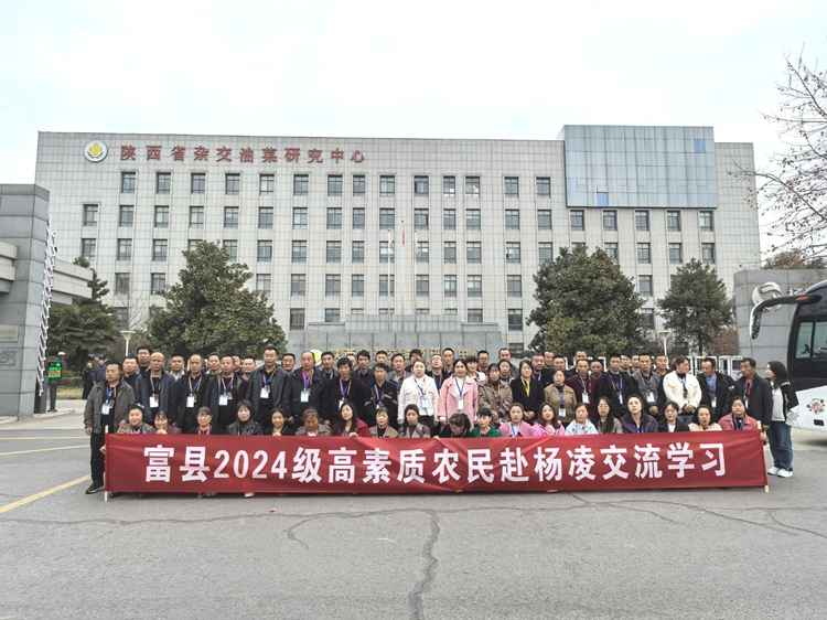 1745201199365001.png 图片2_副本.png