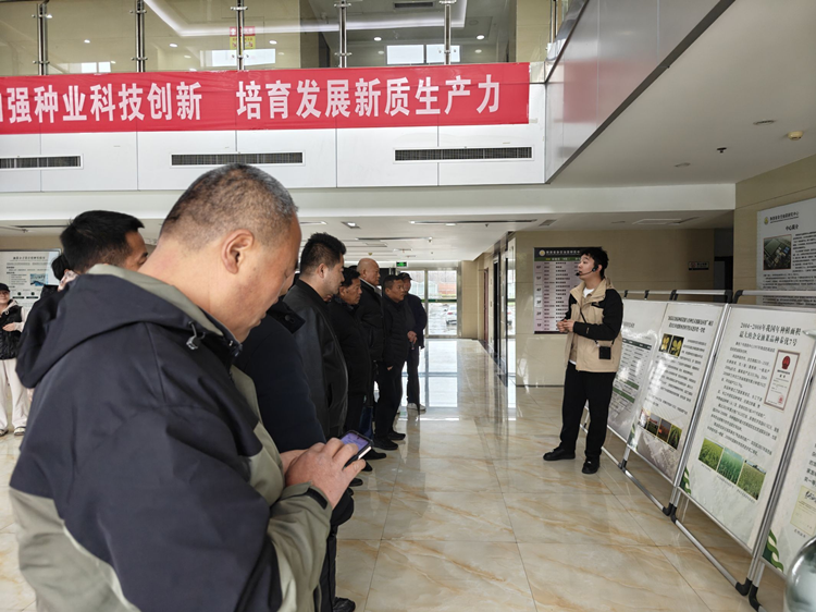 1745201214311268.png 图片3_副本.png