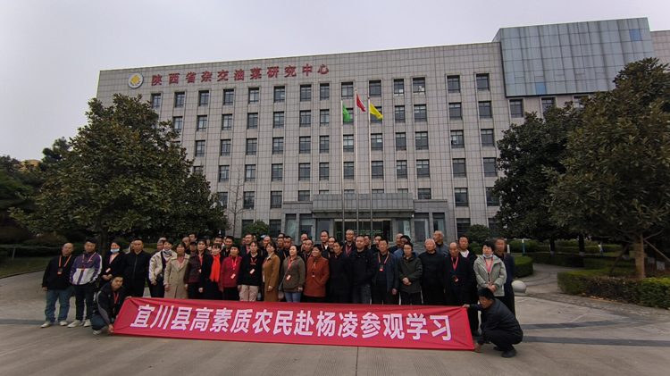 1745201230923077.png 图片4_副本.png