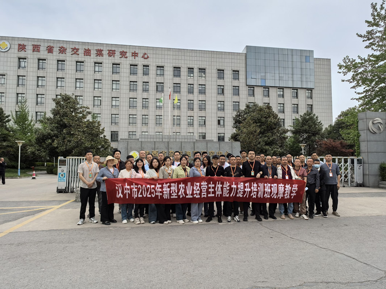 1745201246717949.png 图片5_副本.png