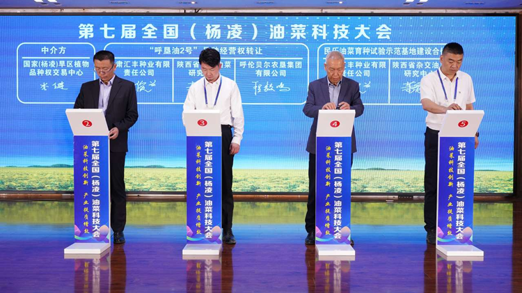 1747013222317550.png 图片1_副本.png