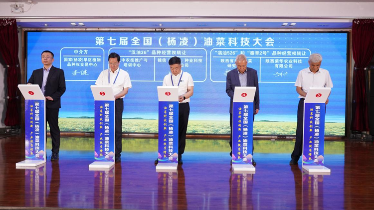 1747013341599994.png 图片1_副本.png