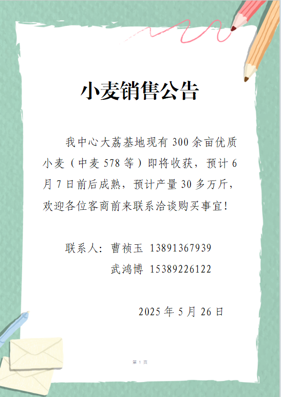 小麦销售公告.png