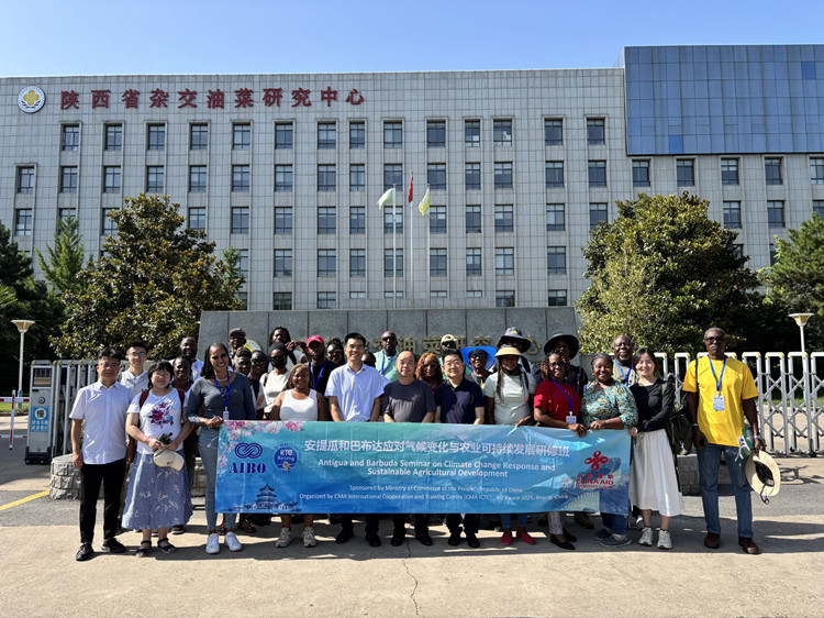 1750147705593045.jpg 1.png_副本.jpg