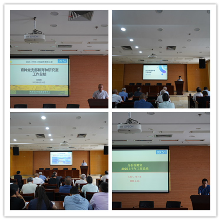 1751264711100780.png 图片1_副本.png